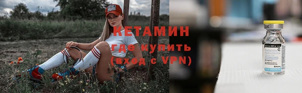 прущие грибы Бронницы