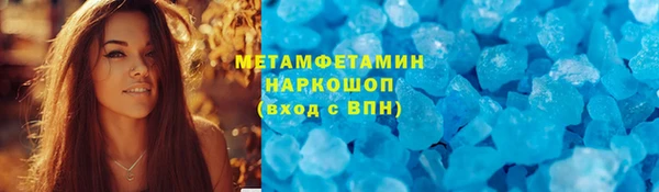 прущие грибы Бронницы