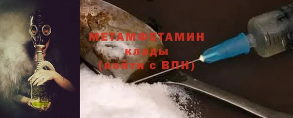 прущие грибы Бронницы