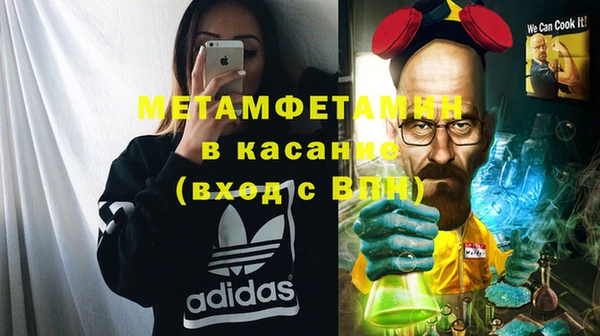 прущие грибы Бронницы