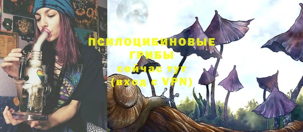 прущие грибы Бронницы