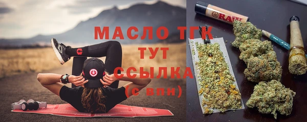 прущие грибы Бронницы