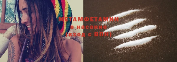 прущие грибы Бронницы