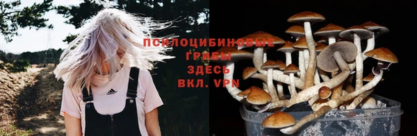прущие крисы Бугульма