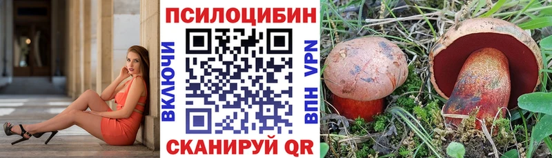 Галлюциногенные грибы Cubensis  Купить закладки  Макушино 