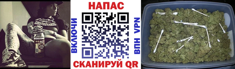 Конопля AK-47  Купить закладки  Макушино 